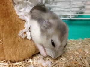 2012-01-21_1.jpg